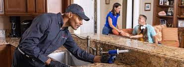 Reliable Brown City, MI Pest control Solutions