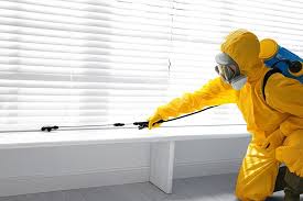 Best Termite Inspection and Treatment  in Brown City, MI